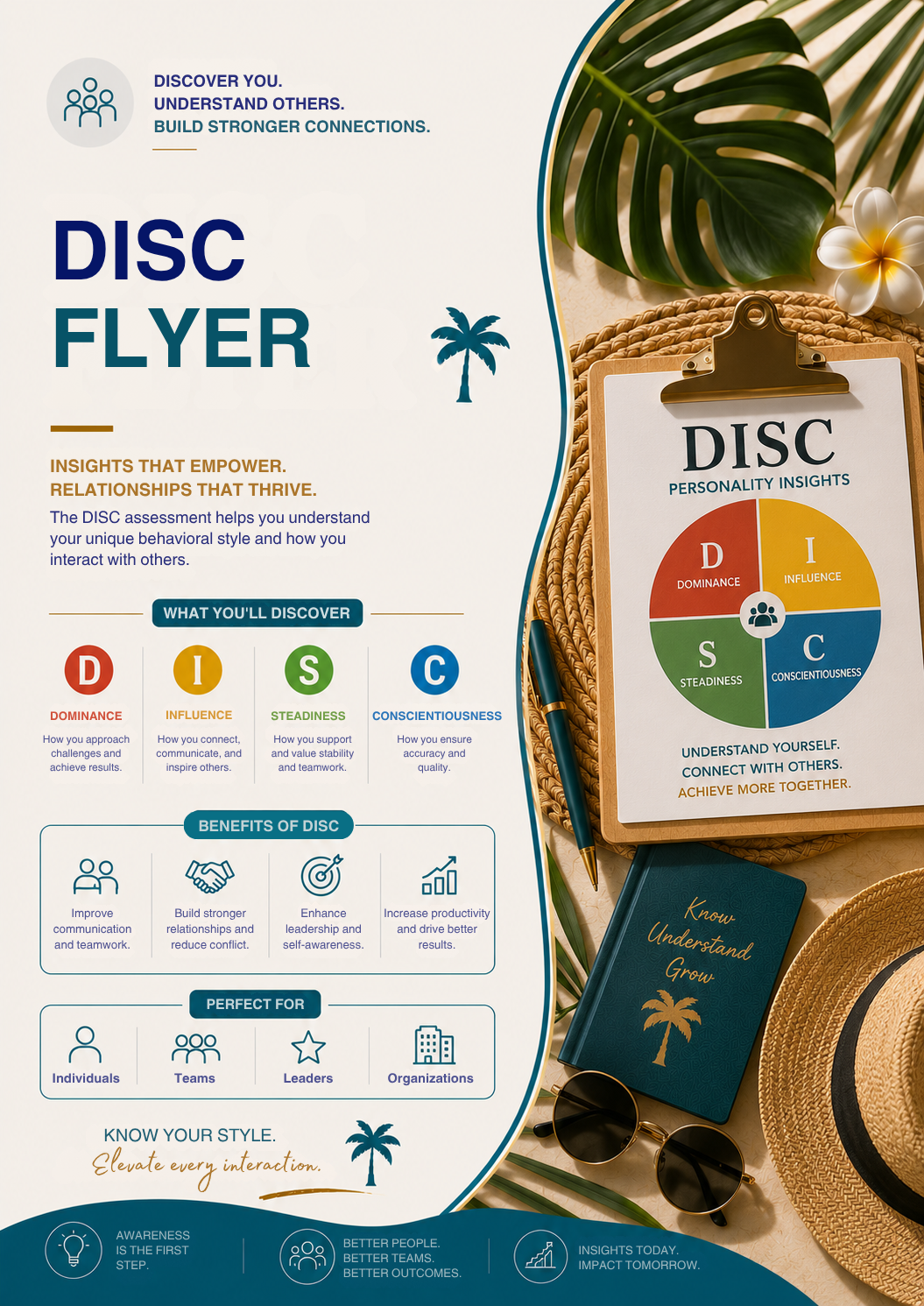 DISC FLYER